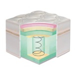 ������������� ������������� ������ LONDON