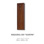 ������� 300 